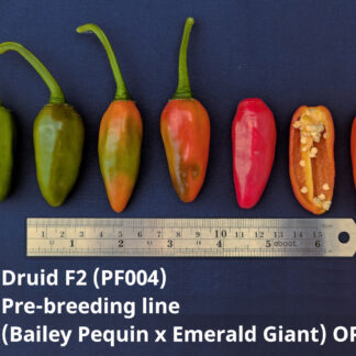 Druid Line - Bailey Pequin x Emerald Green F2